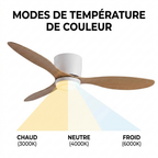 blanc/bois