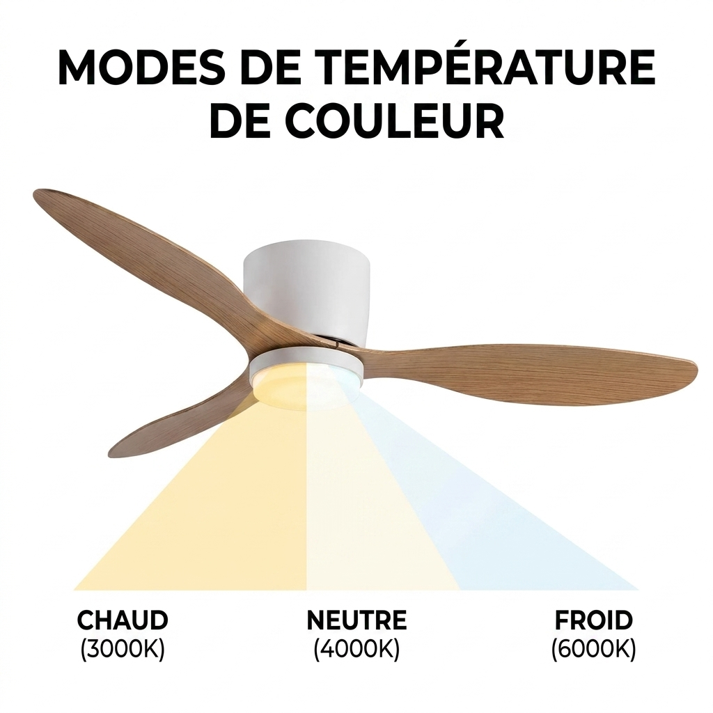 blanc/bois